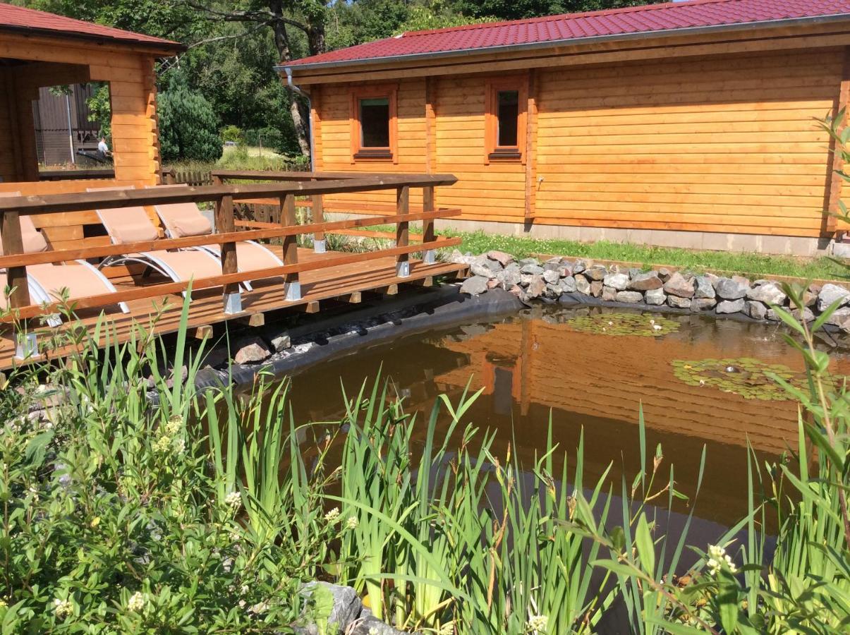 Vila Blockhaus Harzblick Standard Hohegeiß Exteriér fotografie