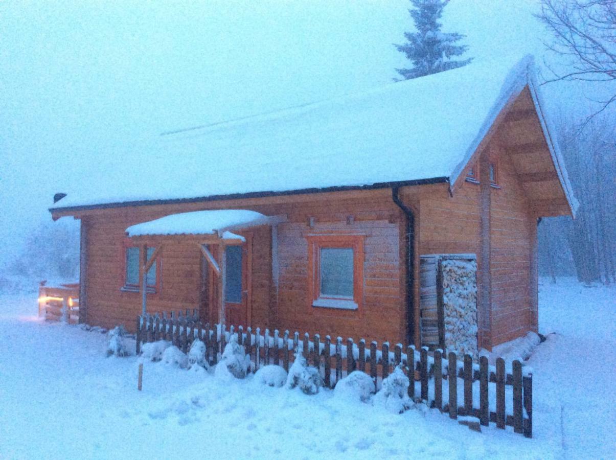 Vila Blockhaus Harzblick Standard Hohegeiß Exteriér fotografie