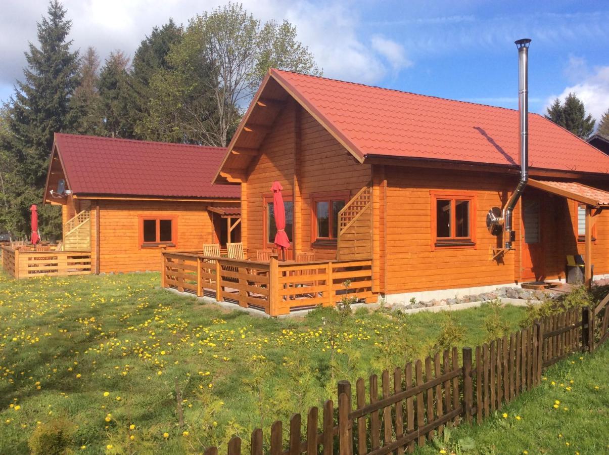 Vila Blockhaus Harzblick Standard Hohegeiß Exteriér fotografie